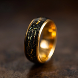 Alerion – Ring aus Wolframcarbid