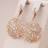 Boucles d'oreilles élégantes à barrettes rondes et zircones